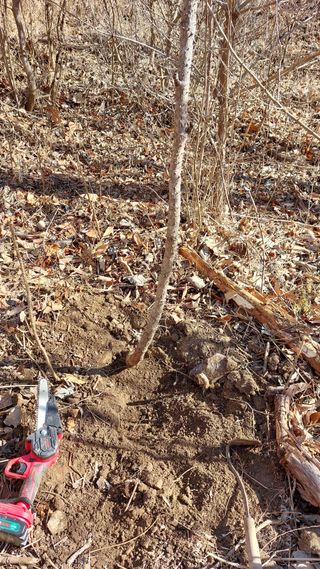 최종권님의 농사, 무엇이든 물어보세요! · 참여글 작성글 사진