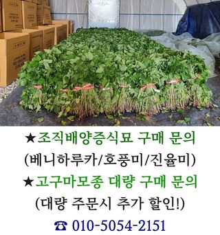 김동수님의 작성글 사진
