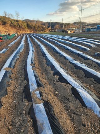 박정석님의 자유주제 · 자유게시판 작성글 사진