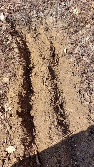 최종권님의 농사, 무엇이든 물어보세요! · 참여글 작성글 사진