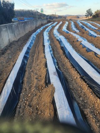 박정석님의 자유주제 · 자유게시판 작성글 사진