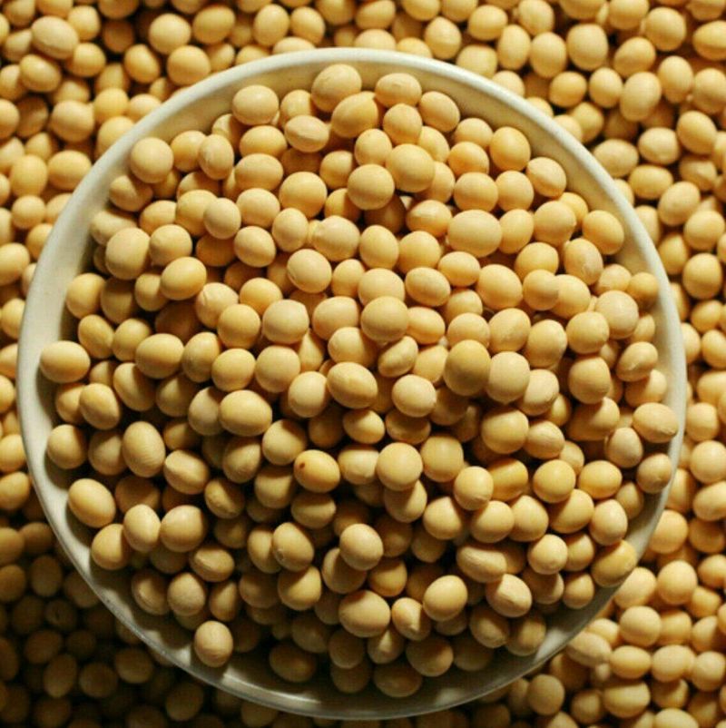 장금이1님의 장터 판매 상품 [국내산청국장10개] 첨부 사진