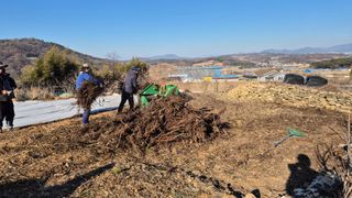 부채도사님의 자유주제 · 자유게시판 작성글 사진