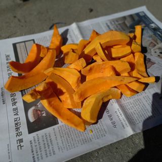 박철용 님의 자유주제 · 자유게시판 작성글 사진