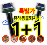 팜모닝 · 게시글 이미지