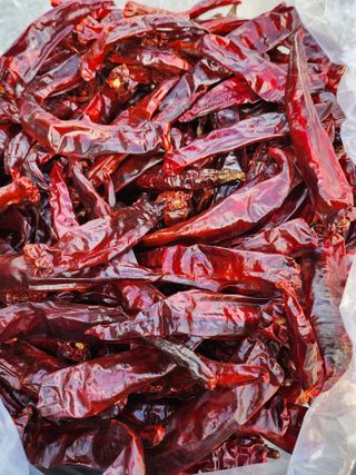 고추대~~~박님의 고추 · 시세•판로 작성글 사진