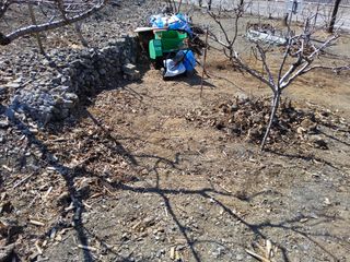 김용대님의 자유주제 · 자유게시판 작성글 사진