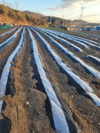 박정석님의 자유주제 · 자유게시판 작성글 사진