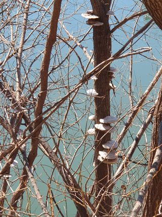 딸기12649님의 자유주제 · 자유게시판 작성글 사진