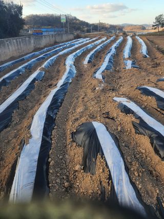 박정석님의 자유주제 · 자유게시판 작성글 사진