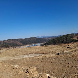 오영도님의 자유주제 · 자유게시판 작성글 사진