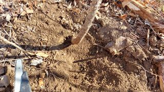 최종권님의 농사, 무엇이든 물어보세요! · 참여글 작성글 사진