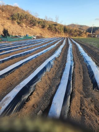 박정석님의 자유주제 · 자유게시판 작성글 사진