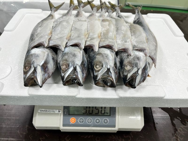 장터 상품 [특대 국산 자반고등어] 썸네일