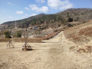 이현상님의 자유주제 · 자유게시판 작성글 사진