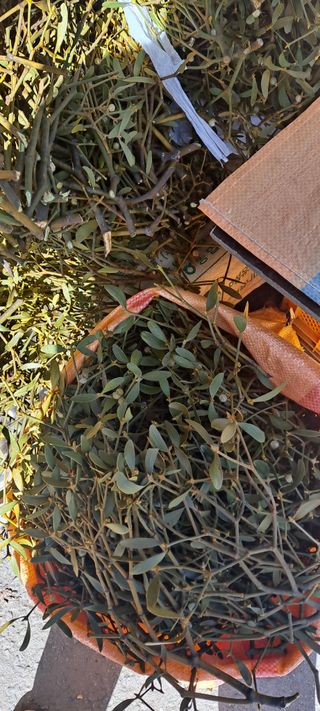 백순분님의 작성글 사진