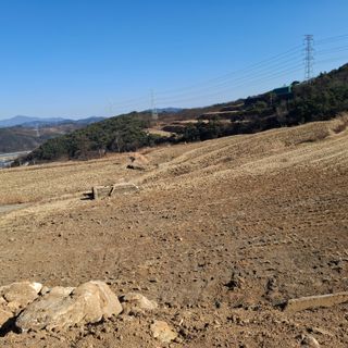 오영도님의 자유주제 · 자유게시판 작성글 사진