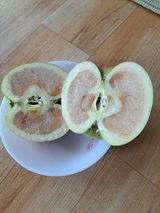 팜모닝 농사, 무엇이든 물어보세요!·참여글 게시글 이미지