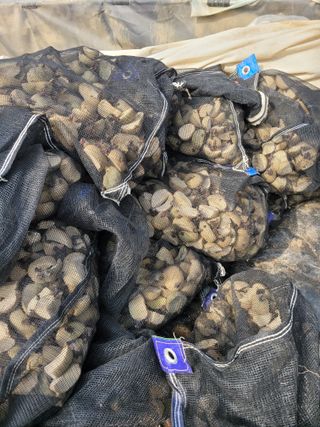 임한혁님의 자유주제 · 자유게시판 작성글 사진