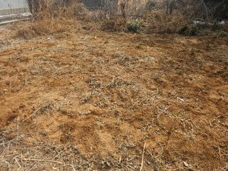 정미리님의 자유주제 · 자유게시판 작성글 사진