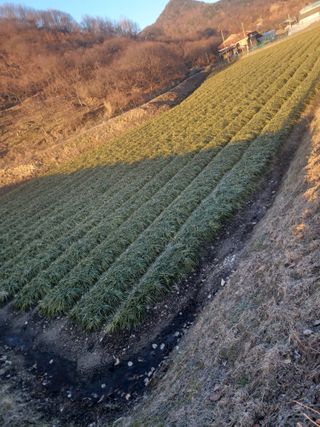 무료지식나눔 팜닥터님의 자유주제 · 자유게시판 작성글 사진