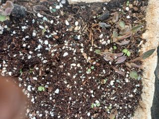 무료지식나눔 팜닥터님의 자유주제 · 자유게시판 작성글 사진