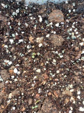 무료지식나눔 팜닥터님의 자유주제 · 자유게시판 작성글 사진