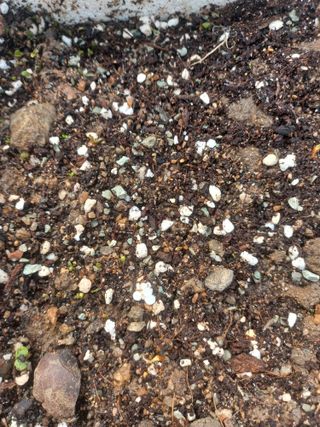 무료지식나눔 팜닥터님의 자유주제 · 자유게시판 작성글 사진