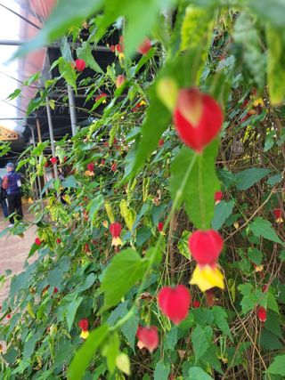 원탑님의 작성글 사진