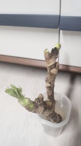 팜모닝 자유주제·자유게시판 게시글 이미지