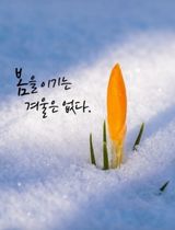 팜모닝 우리 동네 장터 자랑하기·참여글 게시글 이미지