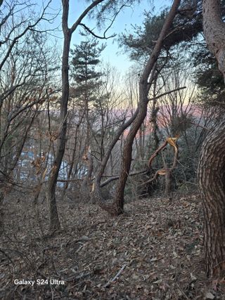 소병찬님의 자유주제 · 자유게시판 작성글 사진