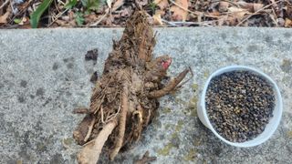 정미리님의 자유주제 · 자유게시판 작성글 사진