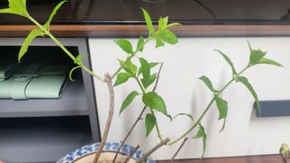 정미리님의 자유주제 · 자유게시판 작성글 사진