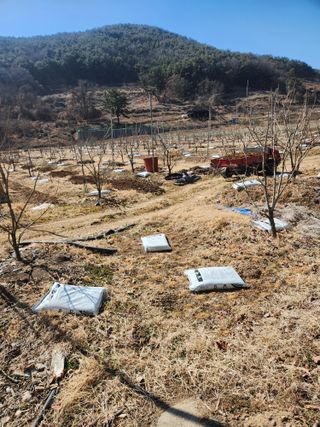 단감님의 자유주제 · 자유게시판 작성글 사진