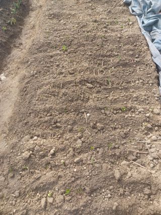 무료지식나눔 팜닥터님의 자유주제 · 자유게시판 작성글 사진