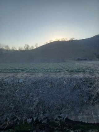 무료지식나눔 팜닥터님의 자유주제 · 자유게시판 작성글 사진
