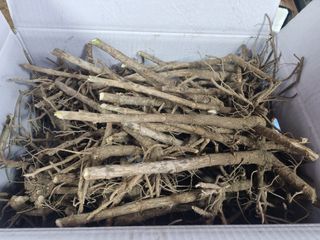 정미리님의 자유주제 · 자유게시판 작성글 사진