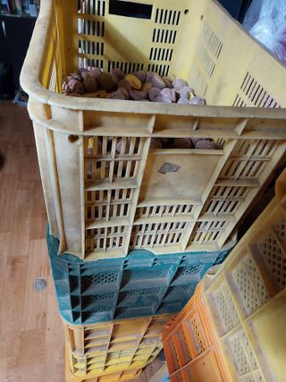 태일농산이정수님의 자유주제 · 자유게시판 작성글 사진