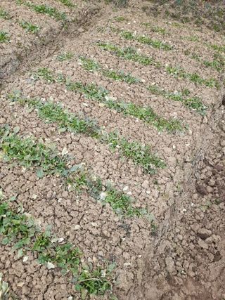 송기완님의 자유주제 · 자유게시판 작성글 사진