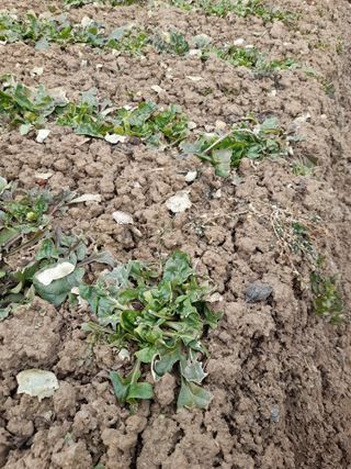 송기완님의 자유주제 · 자유게시판 작성글 사진