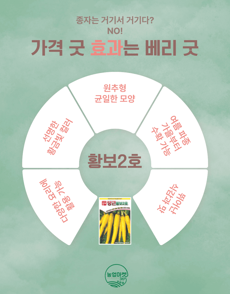 농업마켓365님의 장터 판매 상품 [농업마켓365 아시아종묘 황보2호 8g 씨앗 종자 당근 황금색당근 샐러드당근] 첨부 사진