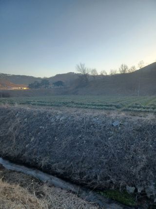 무료지식나눔 팜닥터님의 자유주제 · 자유게시판 작성글 사진