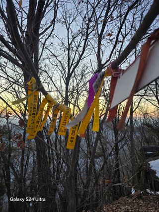 소병찬님의 자유주제 · 자유게시판 작성글 사진