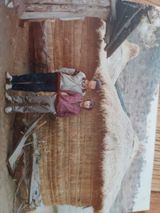 팜모닝 자유주제·자유게시판 게시글 이미지