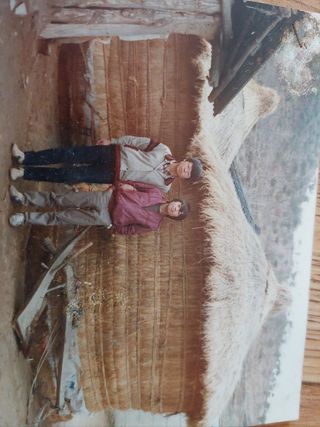 김봉욱님의 자유주제 · 자유게시판 작성글 사진