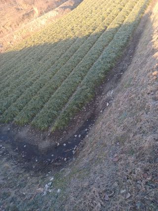 무료지식나눔 팜닥터님의 자유주제 · 자유게시판 작성글 사진