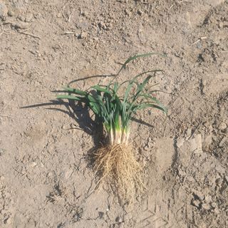 이은화님의 자유주제 · 자유게시판 작성글 사진