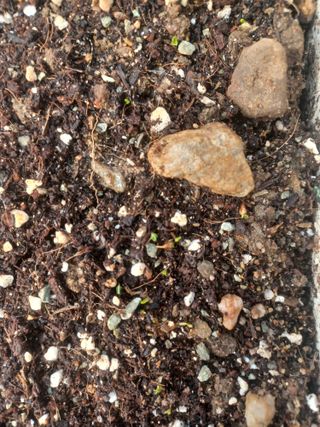 무료지식나눔 팜닥터님의 자유주제 · 자유게시판 작성글 사진