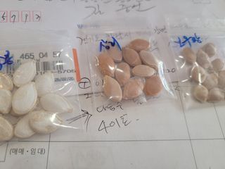 원탑님의 자유주제 · 칭찬해요 작성글 사진